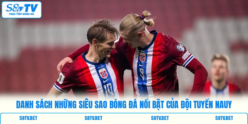 Danh sách những siêu sao bóng đá nổi bật của đội tuyển Nauy Danh sách những siêu sao bóng đá nổi bật của đội tuyển Nauy