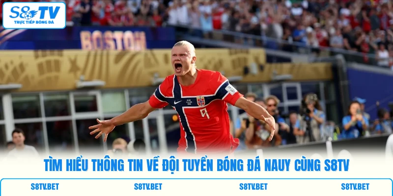 Tìm hiểu thông tin về đội tuyển bóng đá Nauy cùng S8TV