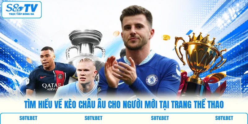 Tìm hiểu về kèo châu Âu cho người mới tại trang thể thao Tìm hiểu về kèo châu Âu cho người mới tại trang thể thao