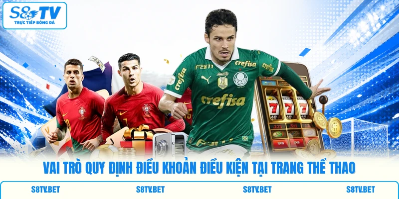 Vai trò quy định điều khoản điều kiện tại trang thể thao Vai trò quy định điều khoản điều kiện tại trang thể thao